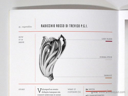 tenuta 农产品企业品牌形象设计人物logo设计包装设计网站设计 上海品牌设计公司