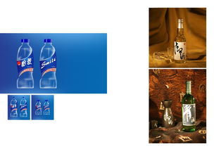 东莞市三人行品牌设计图册策划方案